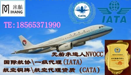 CATA-IATA-NVOCC资质证书